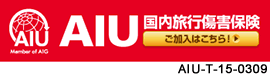 国内旅行傷害保険