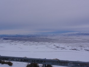 DSC00532