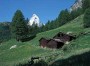 110600zmtsaas_01