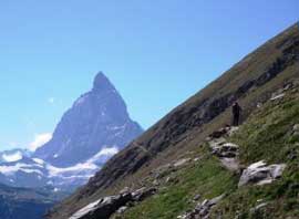 110600zmtsaas_02