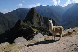 120400peru_basic04