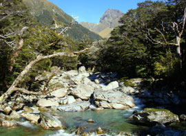 121100nz_dayhaike8_01