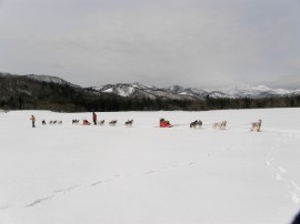 P3310567-270x202