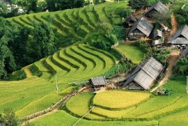 Sapa1 のコピー